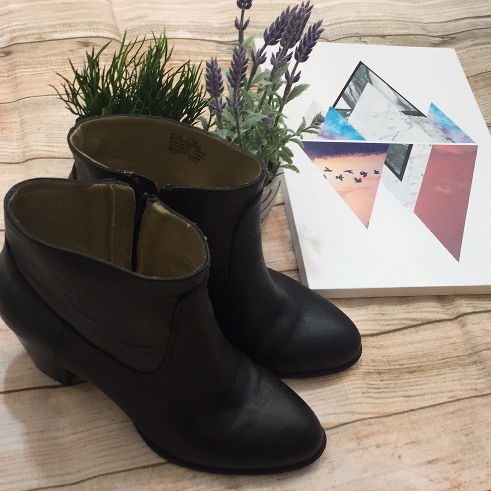 Chaps Est 1978 ankle boots